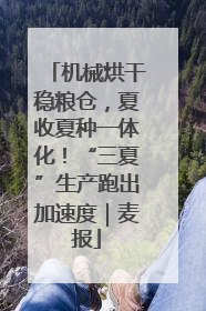 机械烘干稳粮仓，夏收夏种一体化！“三夏”生产跑出加速度｜麦报