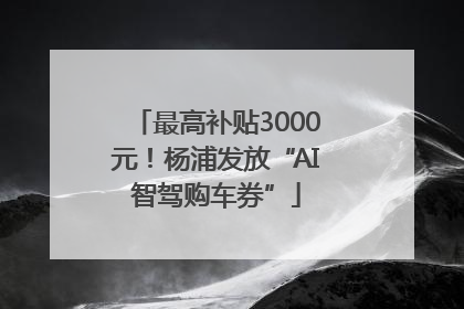 最高补贴3000元！杨浦发放“AI智驾购车券”