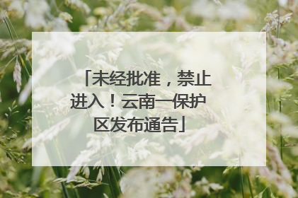 未经批准，禁止进入！云南一保护区发布通告