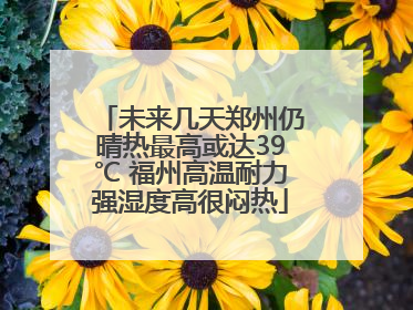 未来几天郑州仍晴热最高或达39℃ 福州高温耐力强湿度高很闷热
