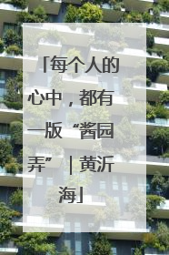 每个人的心中，都有一版“酱园弄”｜黄沂海