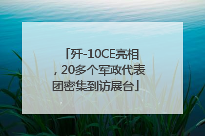 歼-10CE亮相，20多个军政代表团密集到访展台
