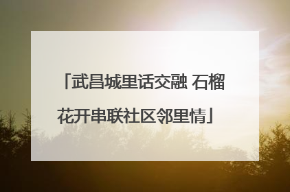 武昌城里话交融 石榴花开串联社区邻里情