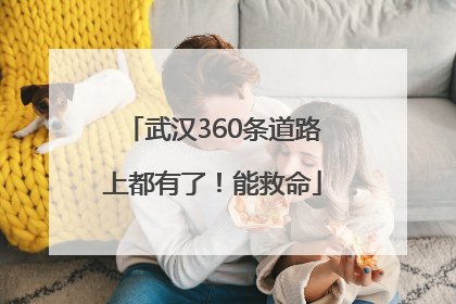武汉360条道路上都有了！能救命