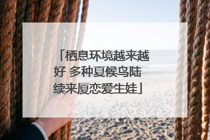 栖息环境越来越好 多种夏候鸟陆续来厦恋爱生娃