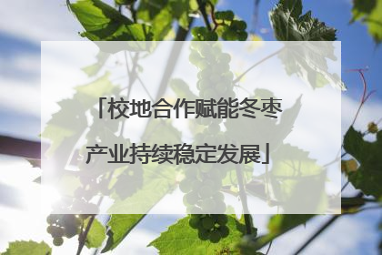 校地合作赋能冬枣产业持续稳定发展