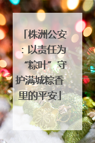 株洲公安：以责任为“粽叶”守护满城粽香里的平安
