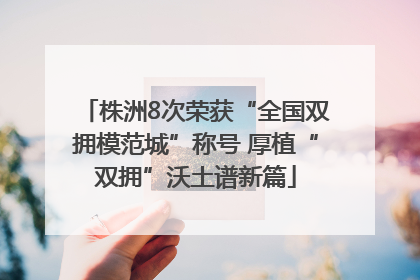 株洲8次荣获“全国双拥模范城”称号 厚植“双拥”沃土谱新篇
