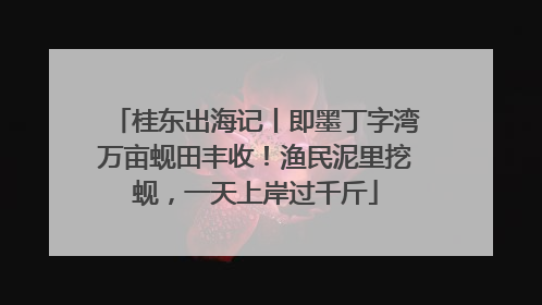桂东出海记丨即墨丁字湾万亩蚬田丰收！渔民泥里挖蚬，一天上岸过千斤