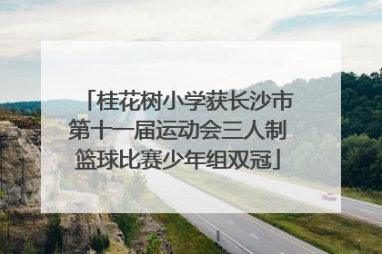 桂花树小学获长沙市第十一届运动会三人制篮球比赛少年组双冠