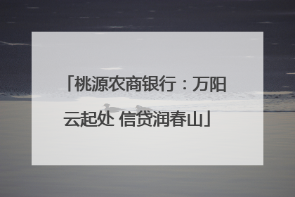 桃源农商银行：万阳云起处 信贷润春山