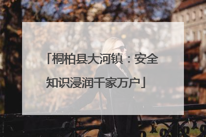 桐柏县大河镇：安全知识浸润千家万户