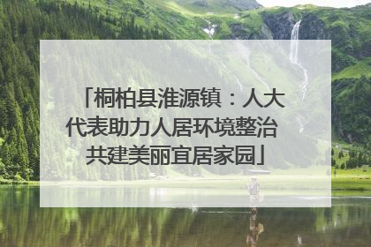 桐柏县淮源镇：人大代表助力人居环境整治 共建美丽宜居家园