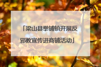 梁山县拳铺镇开展反邪教宣传进商铺活动