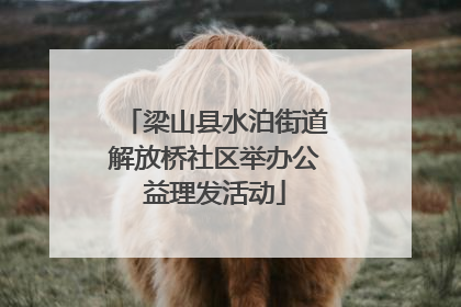 梁山县水泊街道解放桥社区举办公益理发活动