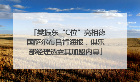 樊振东“C位”亮相德国萨尔布吕肯海报，俱乐部经理透露其加盟内幕