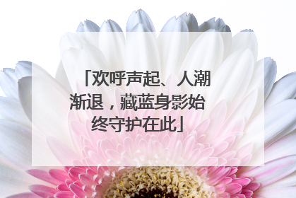 欢呼声起、人潮渐退，藏蓝身影始终守护在此
