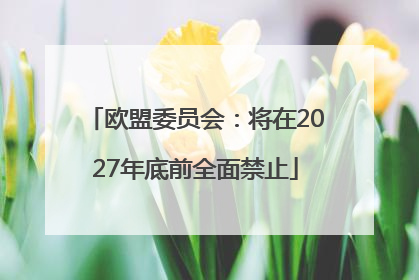 欧盟委员会：将在2027年底前全面禁止