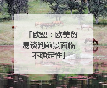欧盟：欧美贸易谈判前景面临不确定性