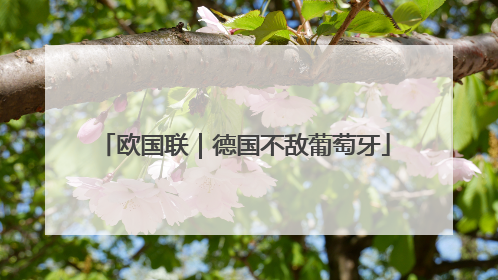 欧国联｜德国不敌葡萄牙