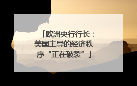欧洲央行行长：美国主导的经济秩序“正在破裂”