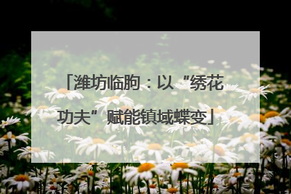 潍坊临朐：以“绣花功夫”赋能镇域蝶变