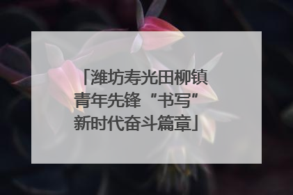 潍坊寿光田柳镇青年先锋“书写”新时代奋斗篇章