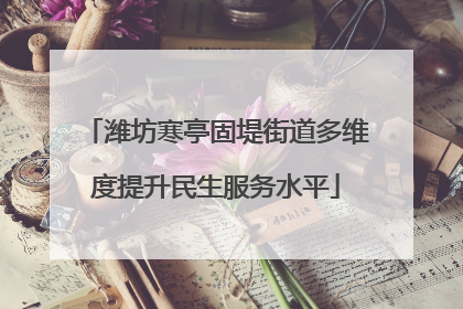 潍坊寒亭固堤街道多维度提升民生服务水平