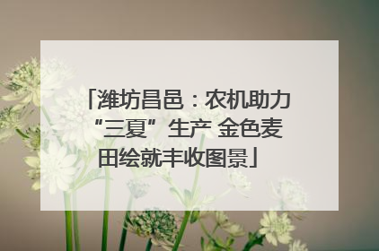 潍坊昌邑：农机助力“三夏”生产 金色麦田绘就丰收图景