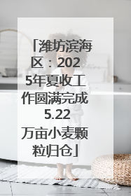 潍坊滨海区：2025年夏收工作圆满完成 5.22万亩小麦颗粒归仓