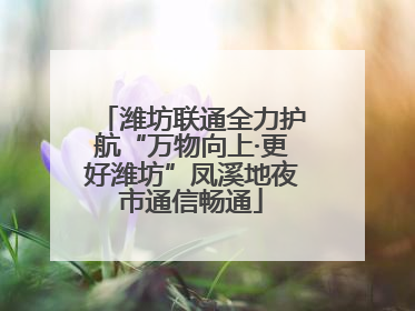 潍坊联通全力护航“万物向上·更好潍坊”凤溪地夜市通信畅通