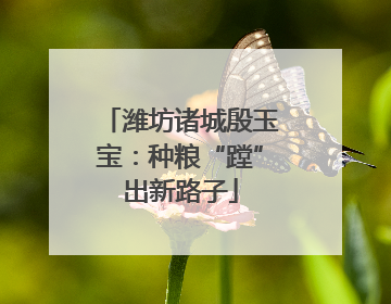 潍坊诸城殷玉宝：种粮“蹚”出新路子
