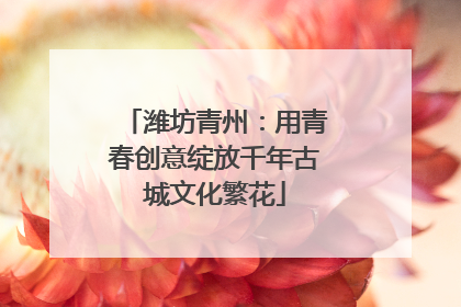 潍坊青州：用青春创意绽放千年古城文化繁花