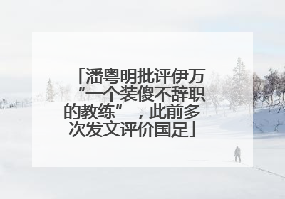 潘粤明批评伊万“一个装傻不辞职的教练”，此前多次发文评价国足