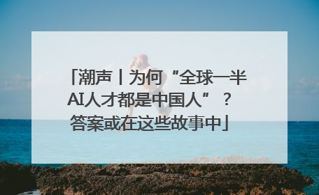 潮声丨为何“全球一半AI人才都是中国人”？答案或在这些故事中