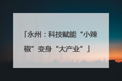 永州：科技赋能“小辣椒”变身“大产业”