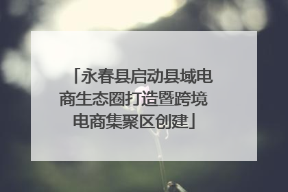 永春县启动县域电商生态圈打造暨跨境电商集聚区创建