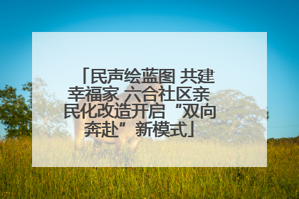 民声绘蓝图 共建幸福家 六合社区亲民化改造开启“双向奔赴”新模式