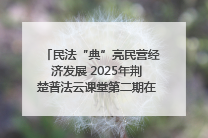 民法“典”亮民营经济发展 2025年荆楚普法云课堂第二期在武汉客厅开讲