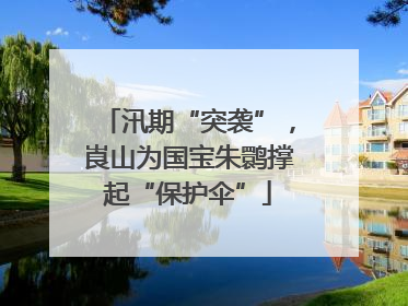 汛期“突袭”，崀山为国宝朱鹮撑起“保护伞”
