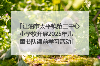 江油市太平镇第三中心小学校开展2025年儿童节队课前学习活动