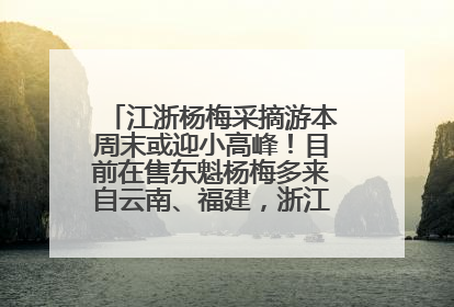 江浙杨梅采摘游本周末或迎小高峰！目前在售东魁杨梅多来自云南、福建，浙江露天东魁杨梅6月中旬大量上市
