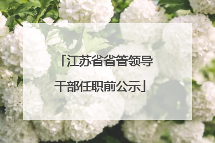 江苏省省管领导干部任职前公示