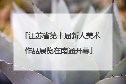 江苏省第十届新人美术作品展览在南通开幕