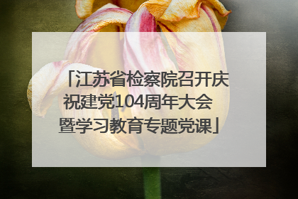 江苏省检察院召开庆祝建党104周年大会暨学习教育专题党课