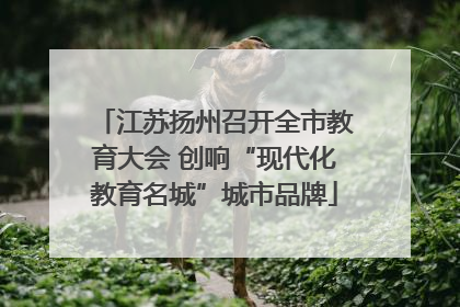江苏扬州召开全市教育大会 创响“现代化教育名城”城市品牌