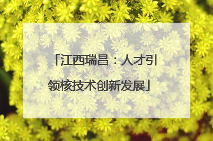江西瑞昌：人才引领核技术创新发展