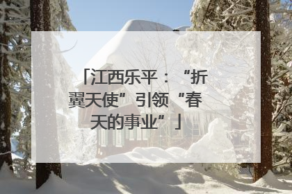 江西乐平：“折翼天使”引领“春天的事业”