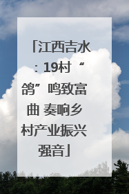 江西吉水：19村“鸽”鸣致富曲 奏响乡村产业振兴强音