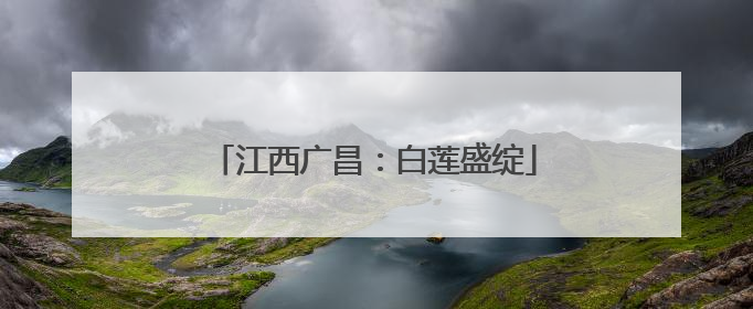 江西广昌：白莲盛绽